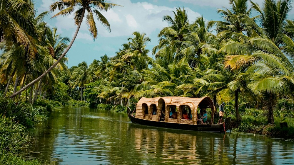 Palm-lined backwaters in Kerala